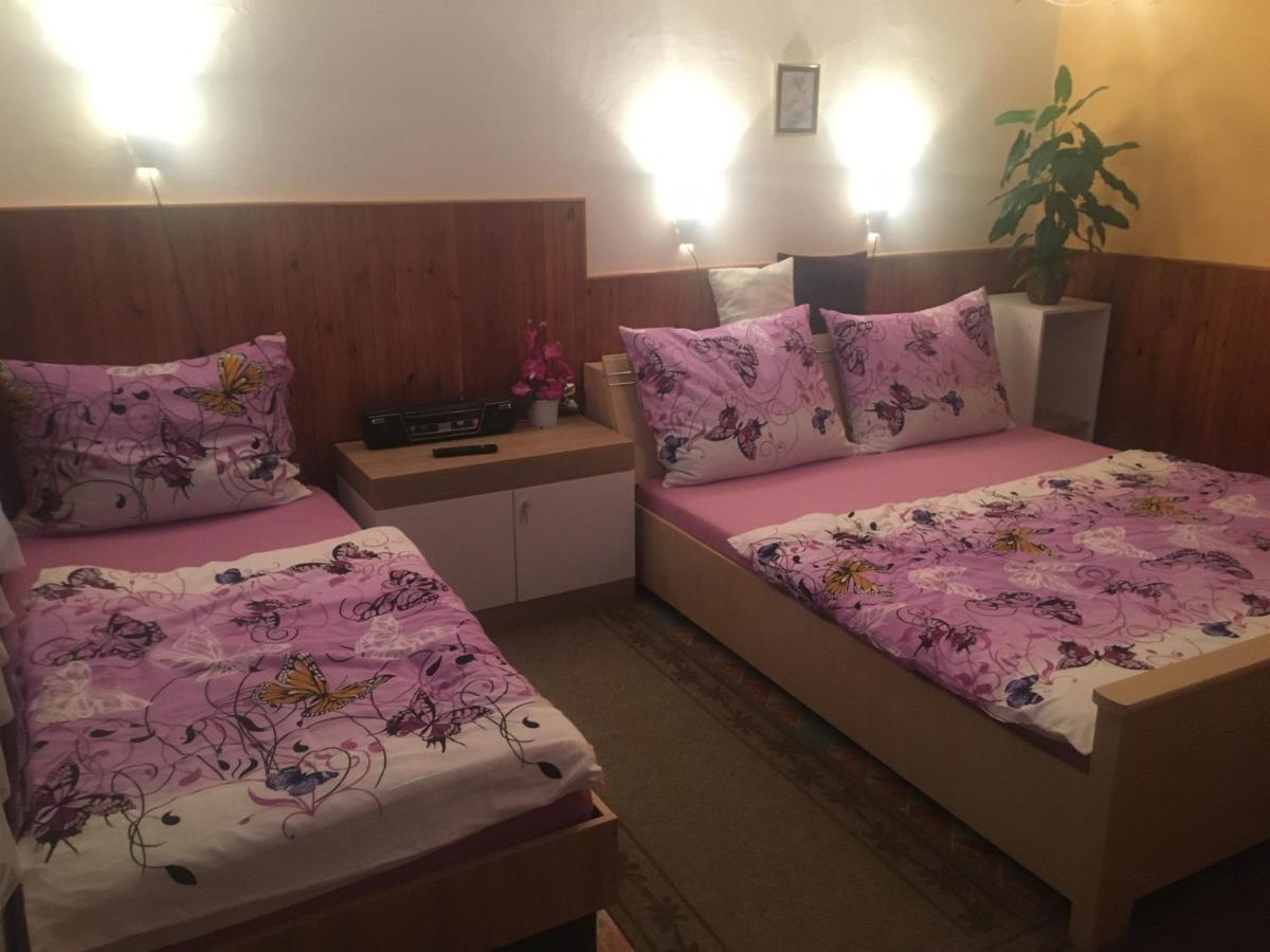 Apartman Olesnikアパートメント エクステリア 写真