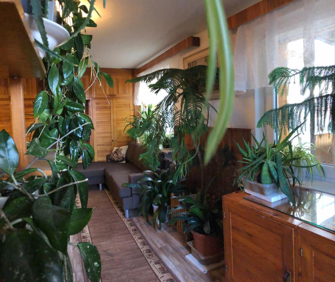 Apartman Olesnikアパートメント エクステリア 写真